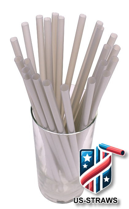 1 CASE - 4,000 (16x250) SMOOTHIE drinking straws 10.00 x 0.28 inch - color: silver