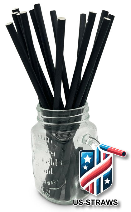 1 CASE - 3,250 (13x250) PAPER SMOOTHIE drinking straws 10.00 x 0.28 Inch - color: black