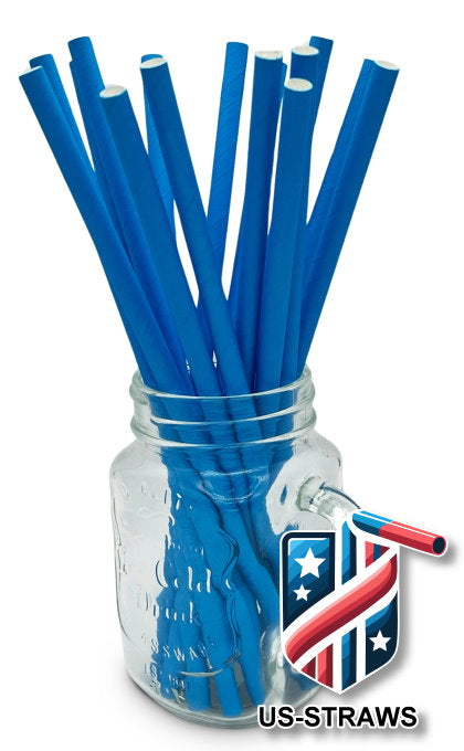 1 CASE - 3,250 (13x250) PAPER SMOOTHIE drinking straws 10.00 x 0.28 Inch - color: blue