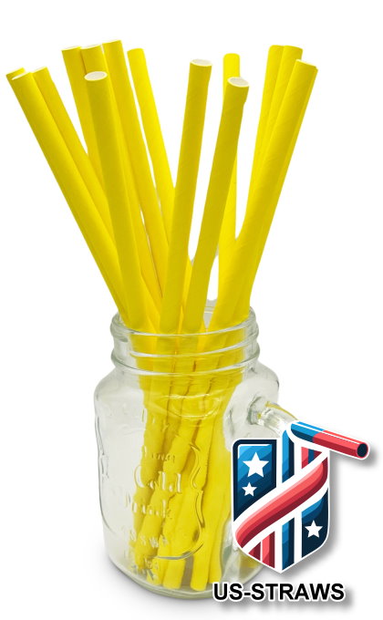 1 CASE - 3,250 (13x250) PAPER SMOOTHIE drinking straws 10.00 x 0.28 Inch - color: yellow