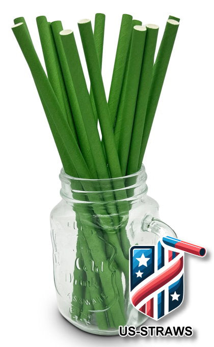 1 CASE - 3,250 (13x250) PAPER SMOOTHIE drinking straws 10.00 x 0.28 Inch - color: green