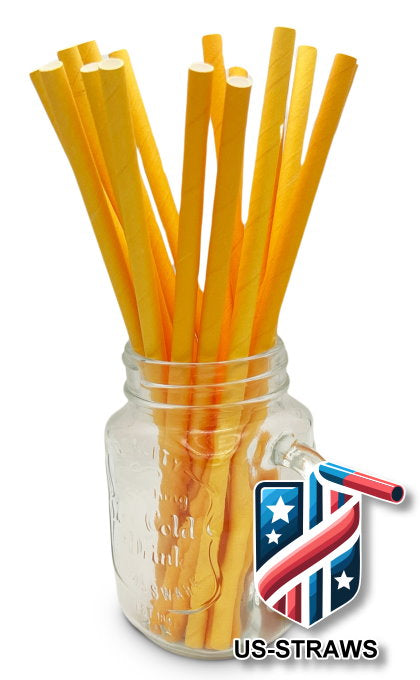 1 CASE - 3,250 (13x250) PAPER SMOOTHIE drinking straws 10.00 x 0.28 Inch - color: orange