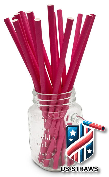 1 CASE - 3,250 (13x250) PAPER SMOOTHIE drinking straws 10.00 x 0.28 Inch - color: pink