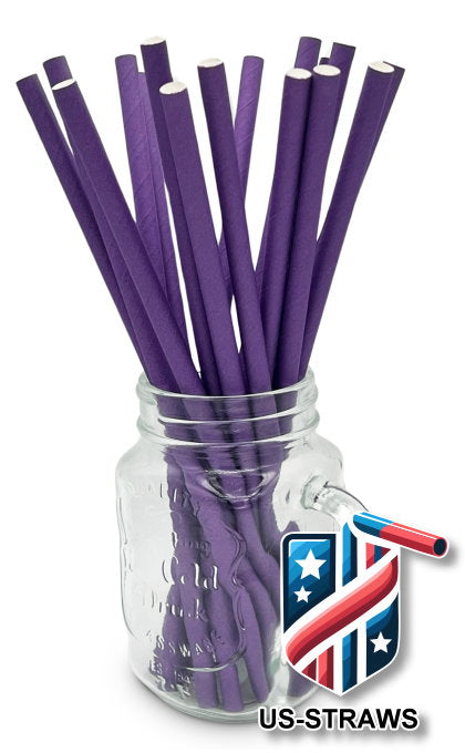 1 CASE - 3,250 (13x250) PAPER SMOOTHIE drinking straws 10.00 x 0.28 Inch - color: purple