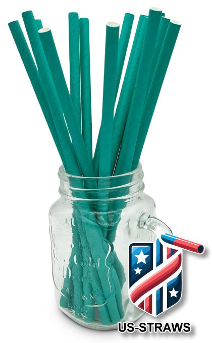 1 CASE - 3,250 (13x250) PAPER SMOOTHIE drinking straws 10.00 x 0.28 Inch - color: aqua