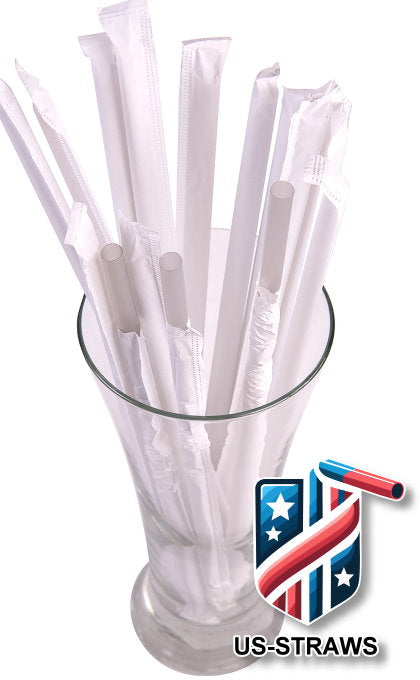1 CASE - 2,500 (10x250) PAPER WRAPPED SMOOTHIE drinking straws 10 x 0.28 inch - color: silver